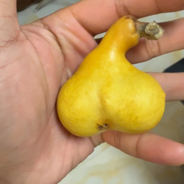 神***86…………………………………………