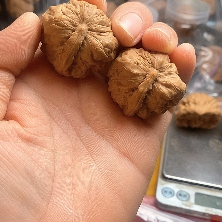 桃核把件蛤蟆头一根筋