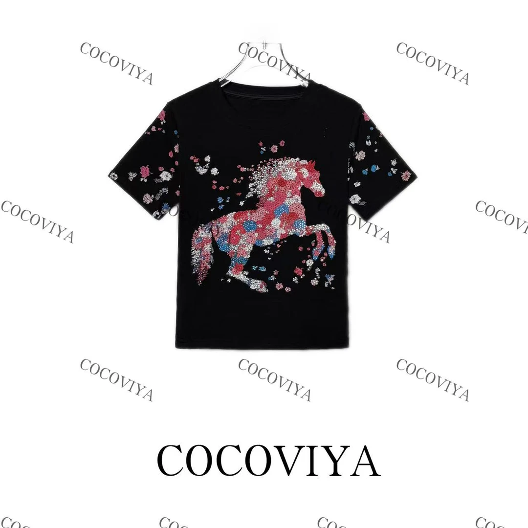 【CC】COCOVIYA 2025设计感春夏打底时尚百搭休闲上衣26C-887