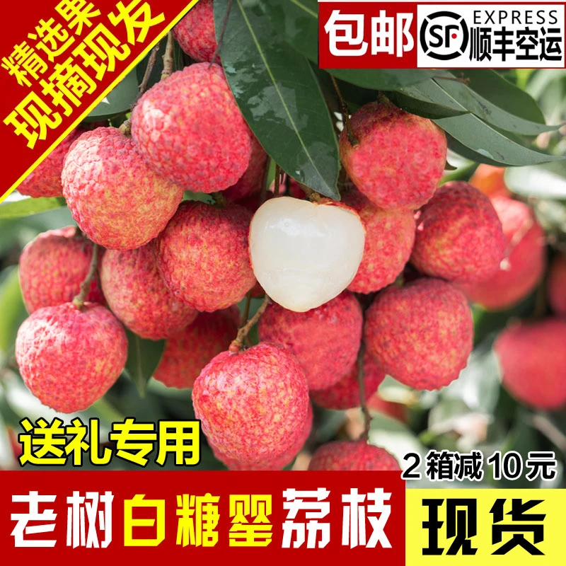 白糖罂新鲜老树荔枝现摘现发广东高州茂名水果顺丰包邮空运礼盒箱