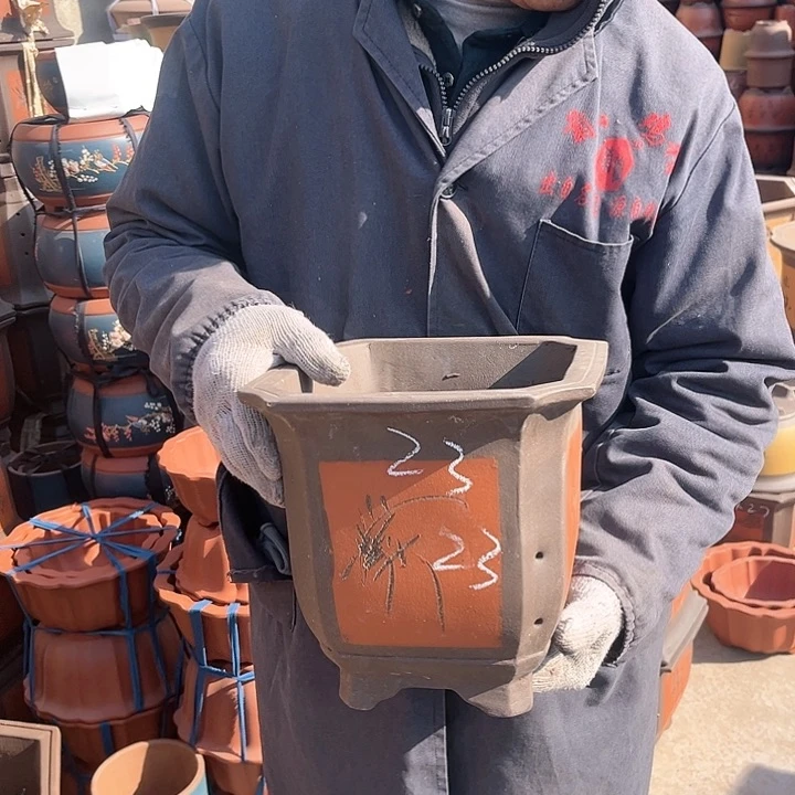 紫砂紫砂花盆和花盆里