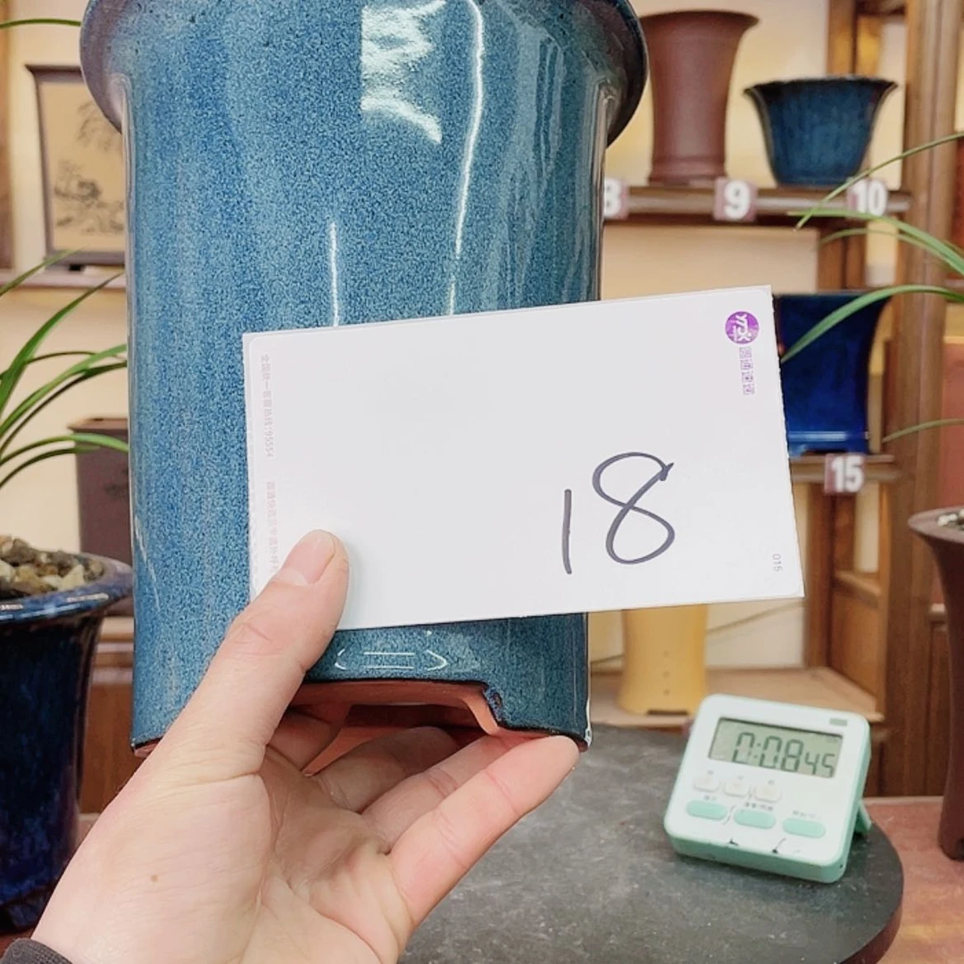 【闪购商品】紫砂花盆贺****）兰花755551225554455585