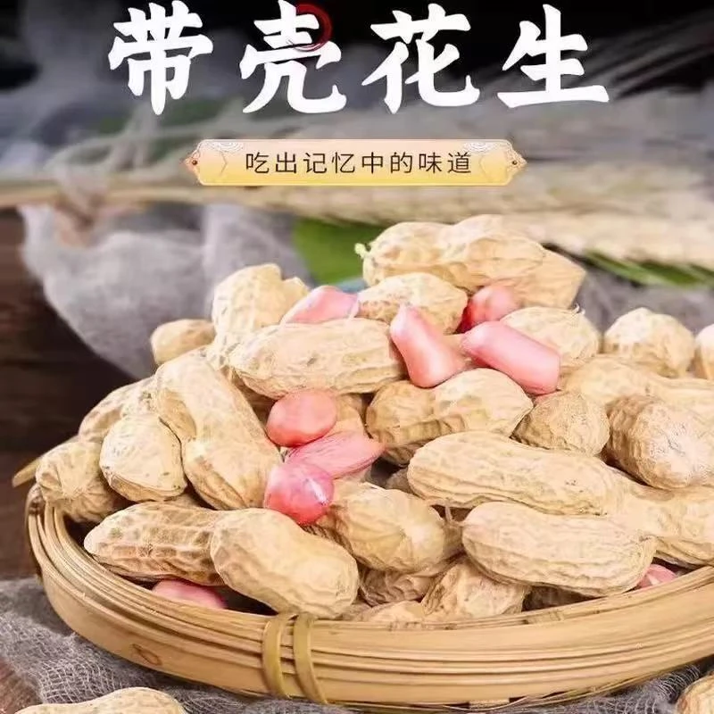 25年新晒白沙花生新货晒干带壳花生大粒带壳花生