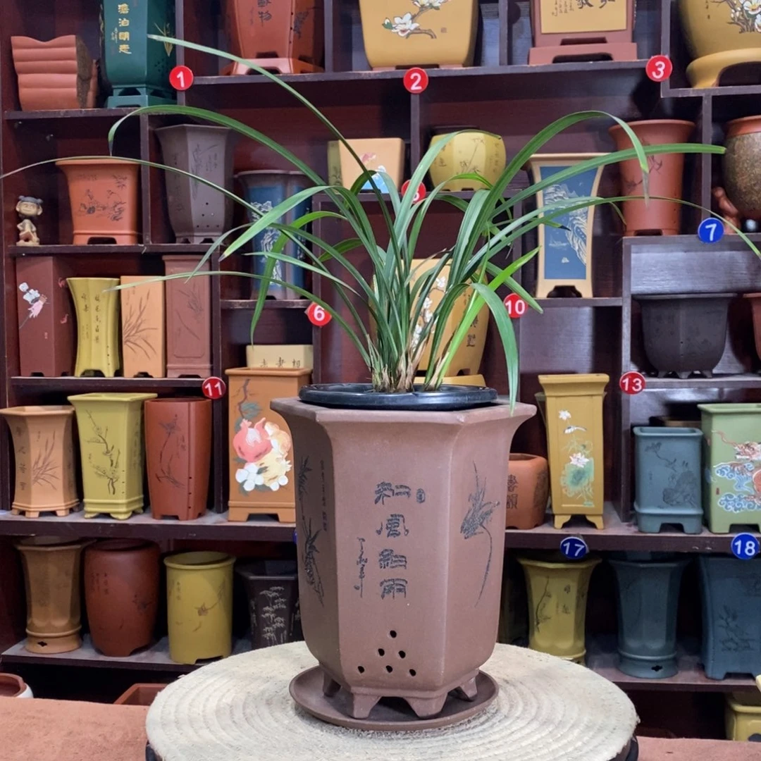 紫砂艺术紫砂花盆