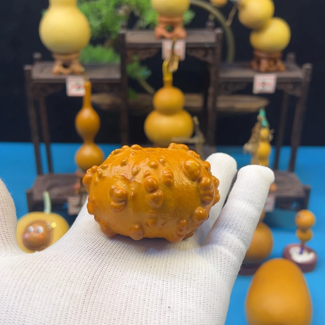 晚风葫芦直播间欢迎你