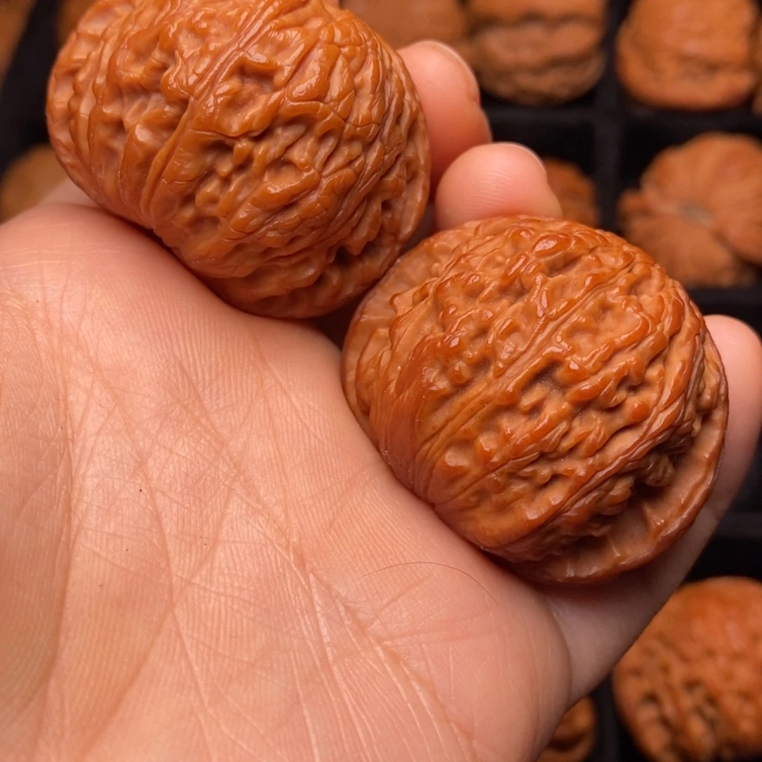 文玩核桃把件秦岭野生核桃