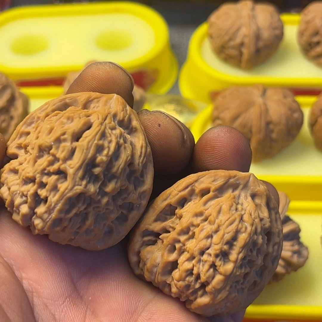 极***学大叶紫檀（黑酸枝木类）