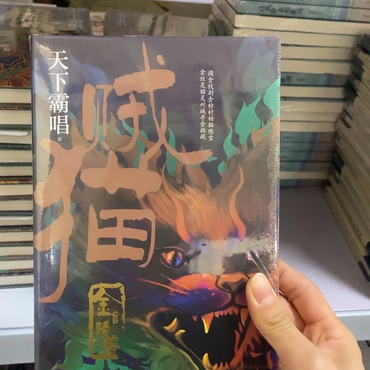 贼猫。 精装带塑封