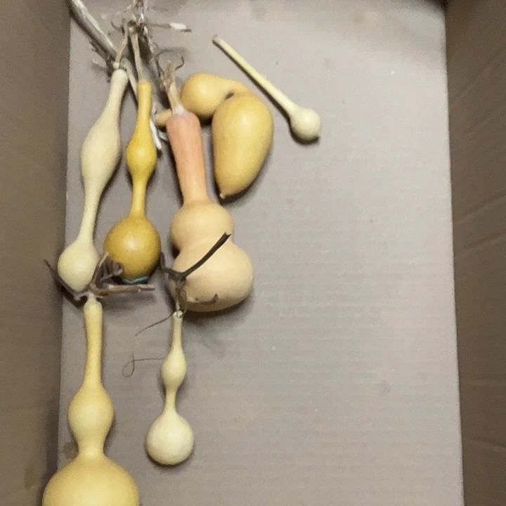 看好下单不退不换