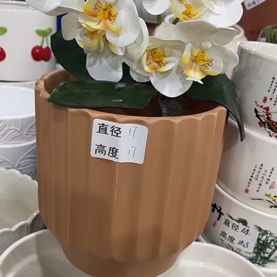 多肉绿植陶瓷花盆9.9包邮，有孔