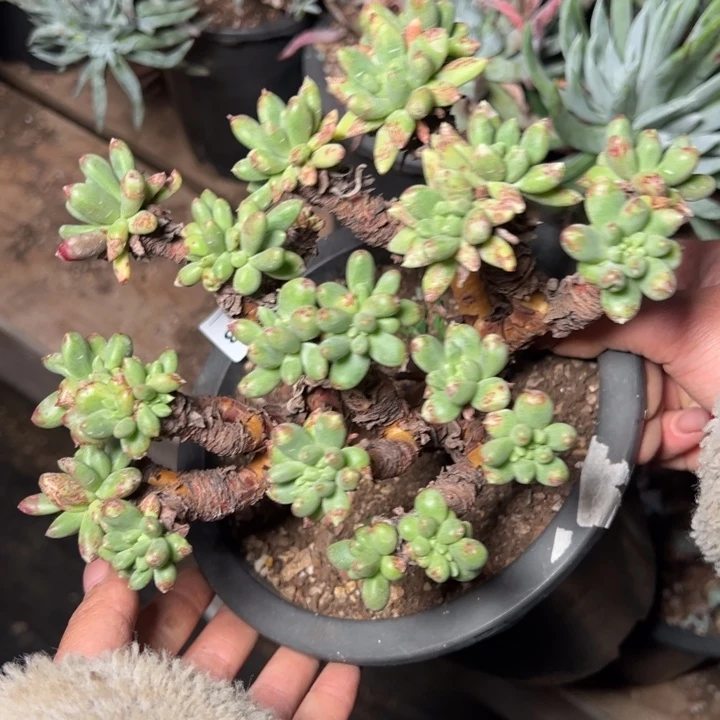 2878哈哈哈哈哈哈哈哈