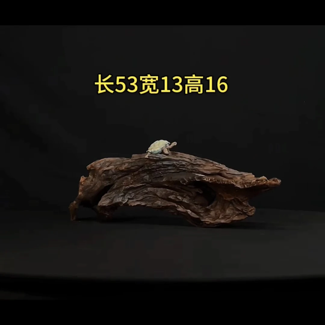张大狼造景沉木长53cm爆裂趴缸龟台 龟缸鱼缸造景 紫柚木秒沉