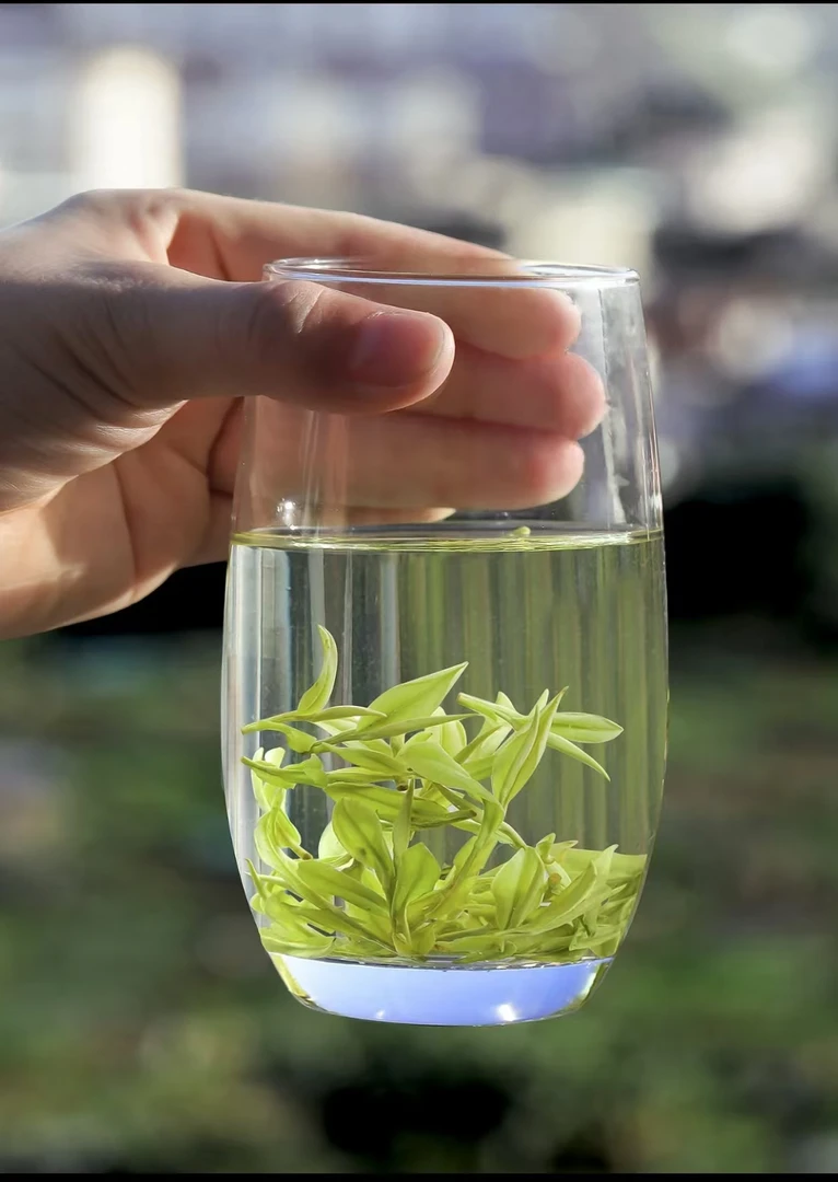 2024年新茶明前高山白茶鲜爽回甘兰花香