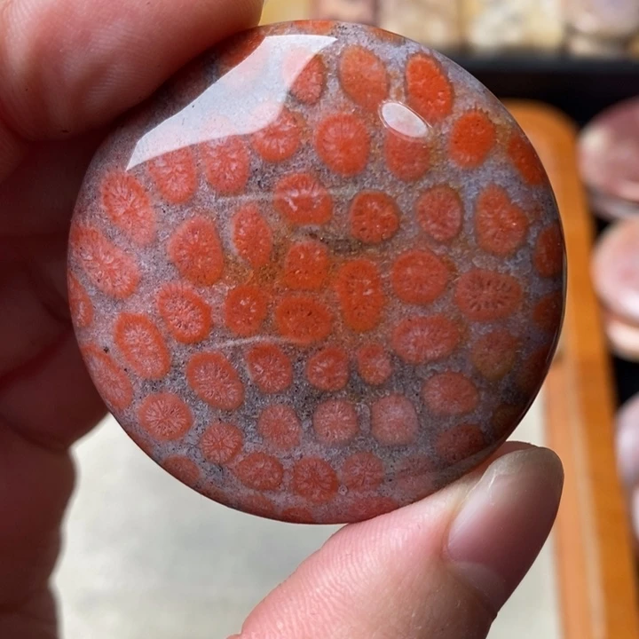 硅化玉颈饰未镶嵌E****坞