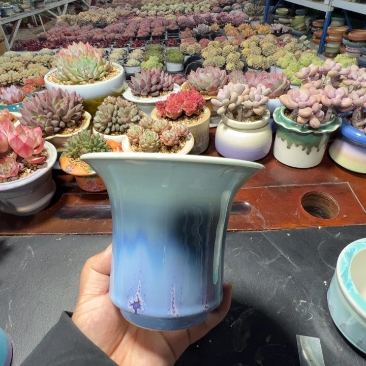 特价花盆 满50发货 内口12