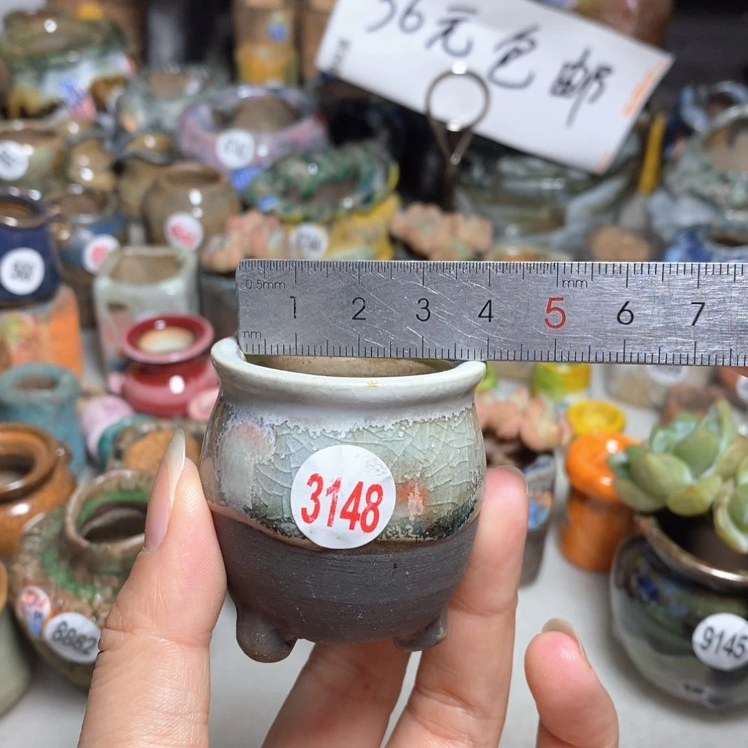 拍5送一个小礼物