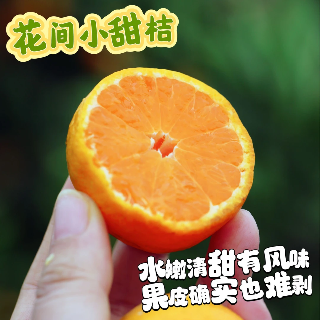 花间小甜桔 有花皮 皮难剥 脆嫩清甜 1分酸 有桔味 3.7斤 顺丰