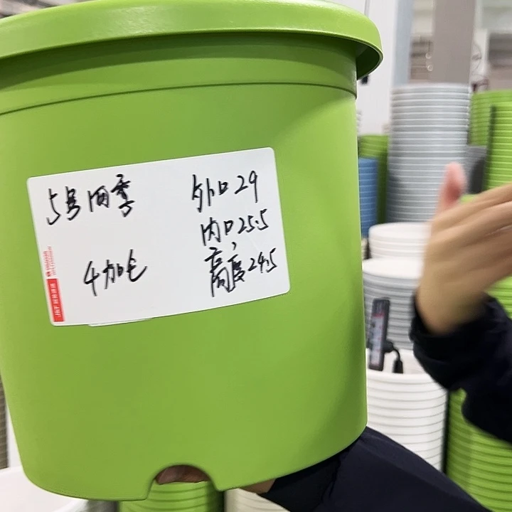 特价5号四季口29高24.5果绿无托5只