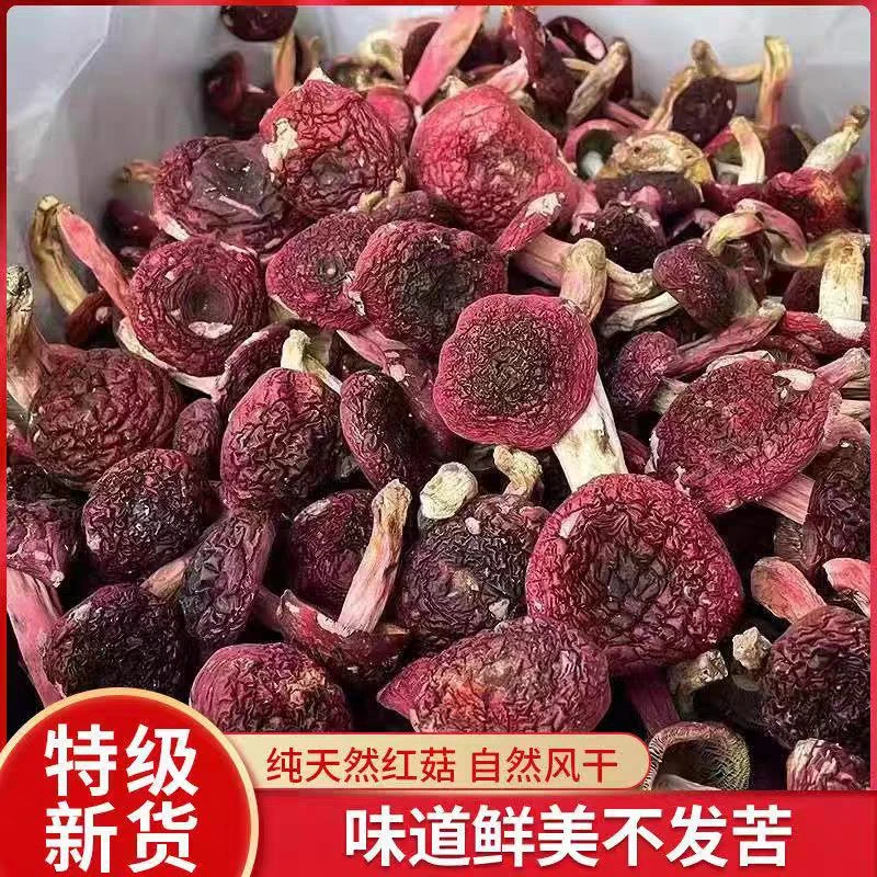 红姑礼盒云南思茅红菇干货蓝底标菇正红菇产地批发 小标菇一件代