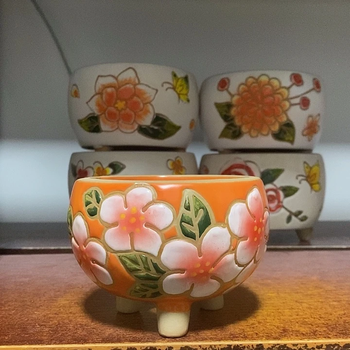 韩式多肉植物花盆