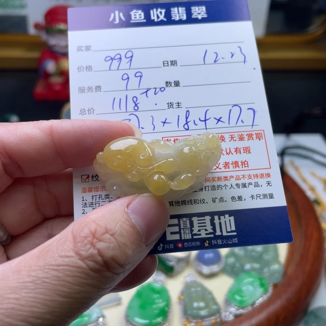 翡翠未镶嵌挂件貔貅