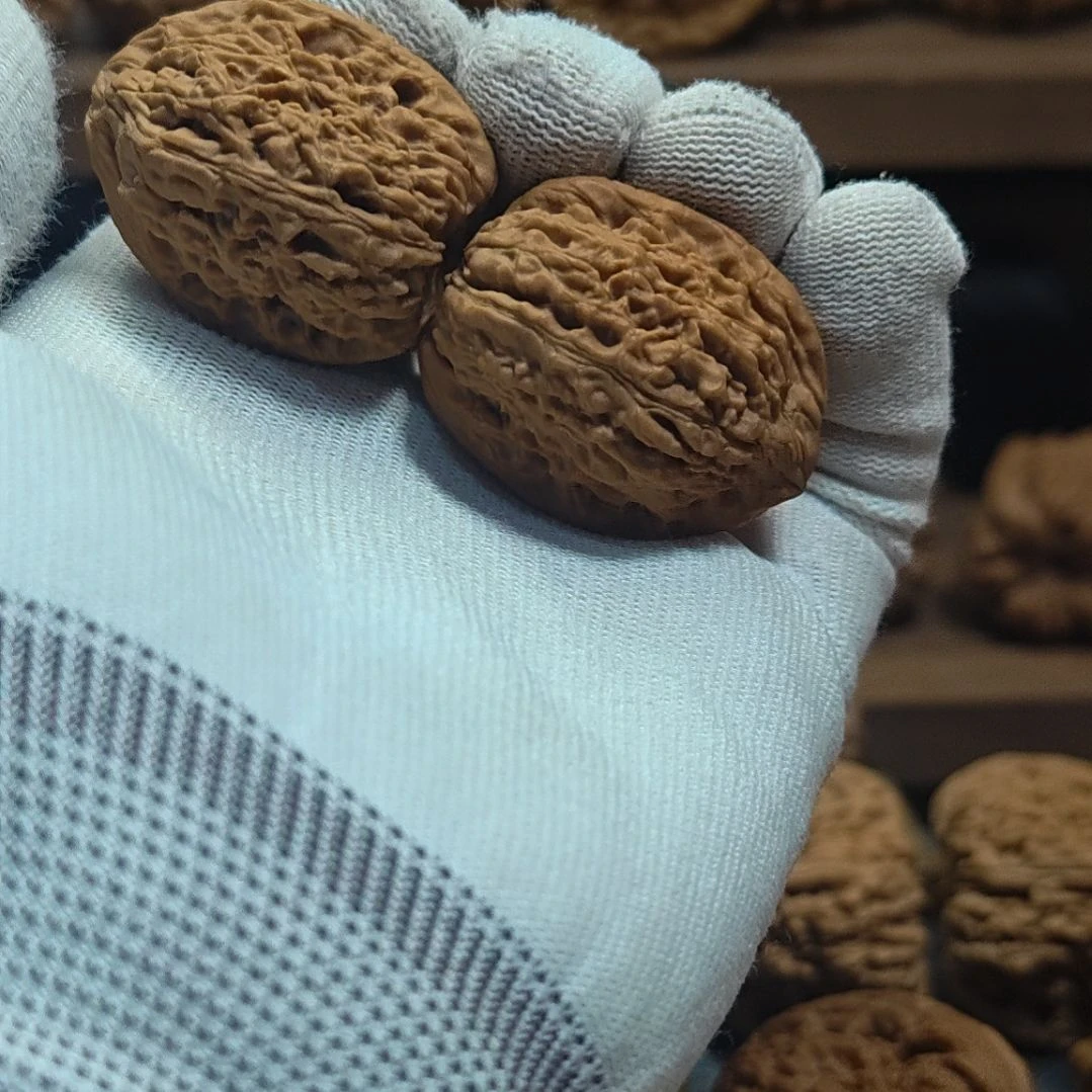 涿鹿南疆石高炮送豪哥