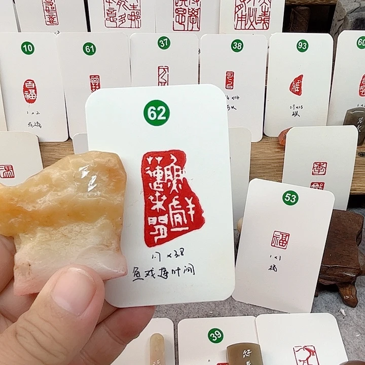 老挝石其他鱼戏莲叶间