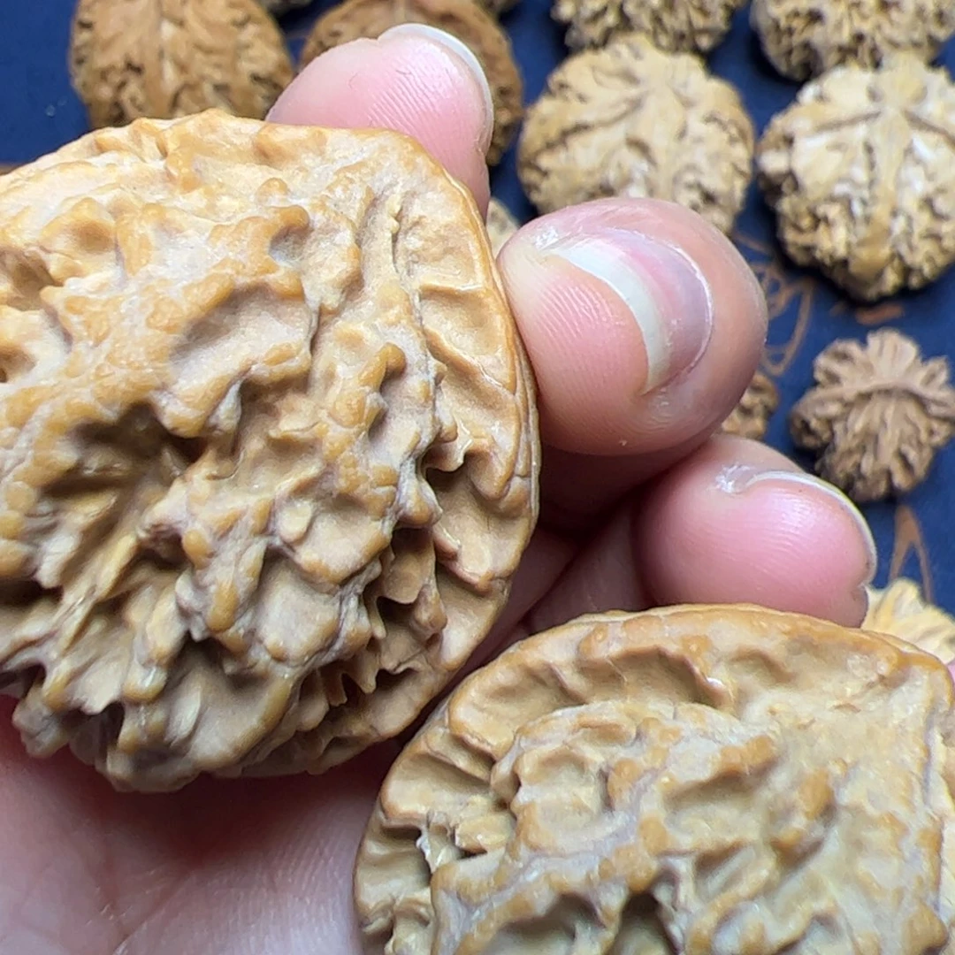 文玩核桃把件秦岭野生植物核桃