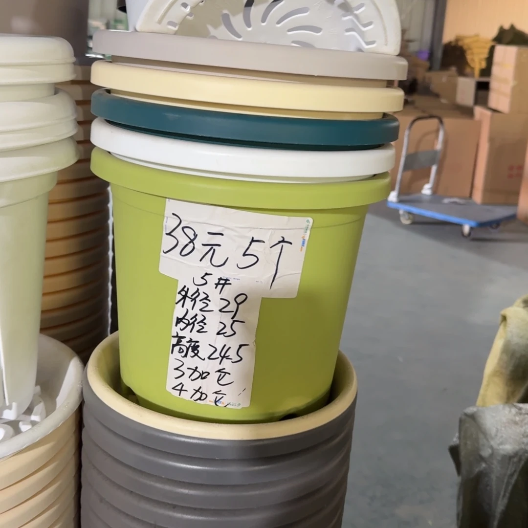 四季5#口径29无拖果绿5个