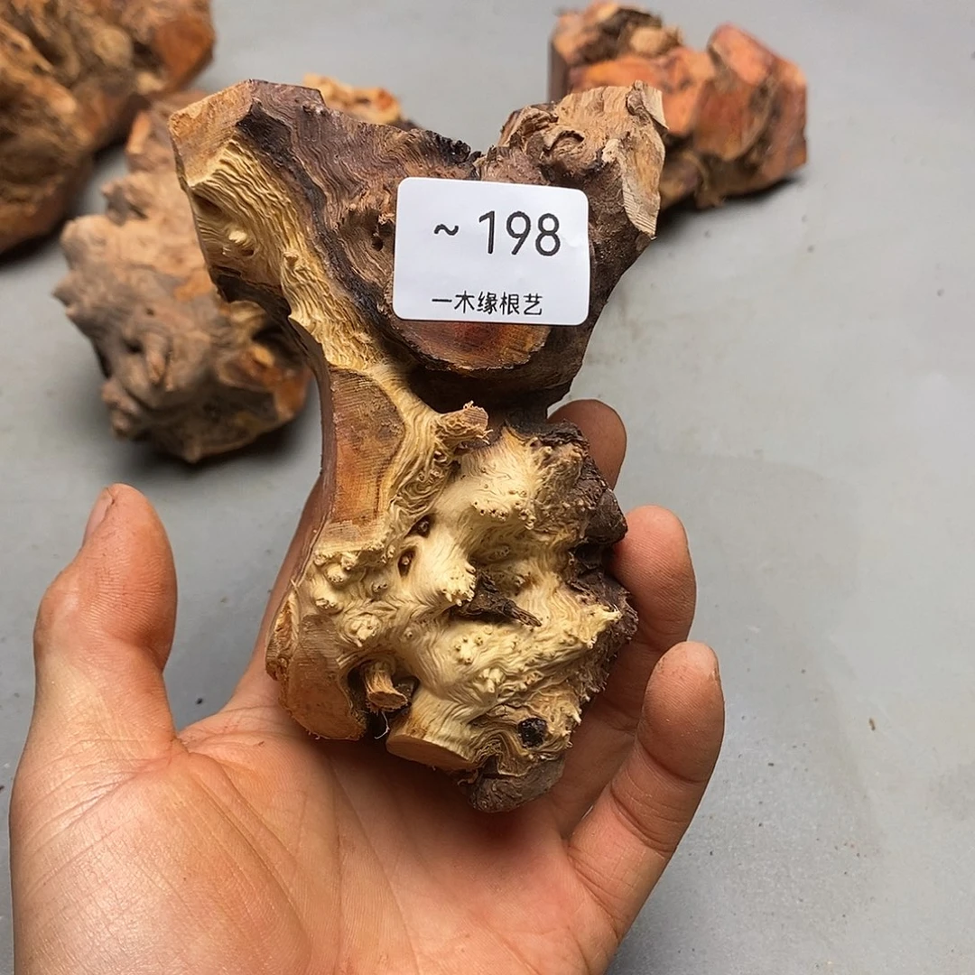 不***意无花朵          198