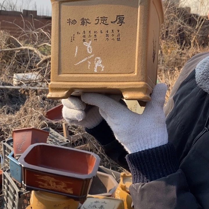 花盆紫砂紫砂特价包邮