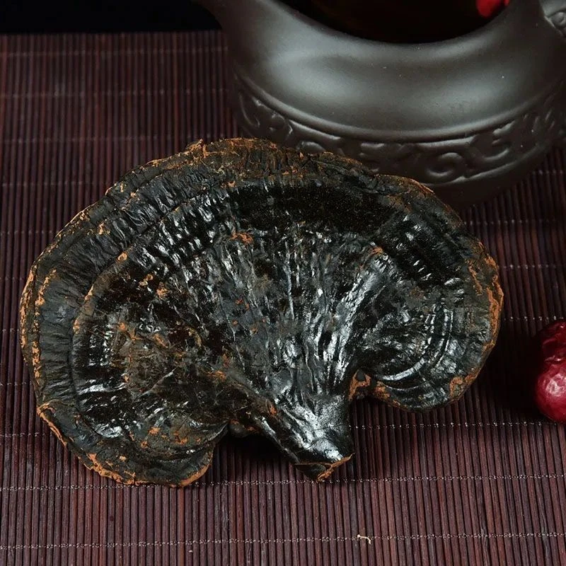 正宗长白山自然生长黑灵芝黑灵芝整朵中药材干货切片泡酒整朵灵芝