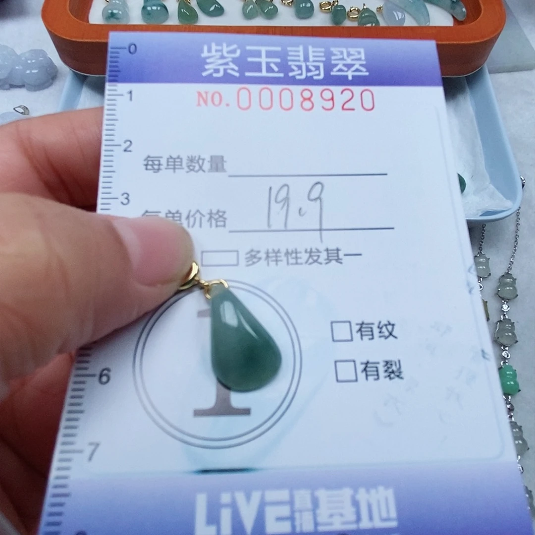 颈饰未镶嵌翡翠冰透随行