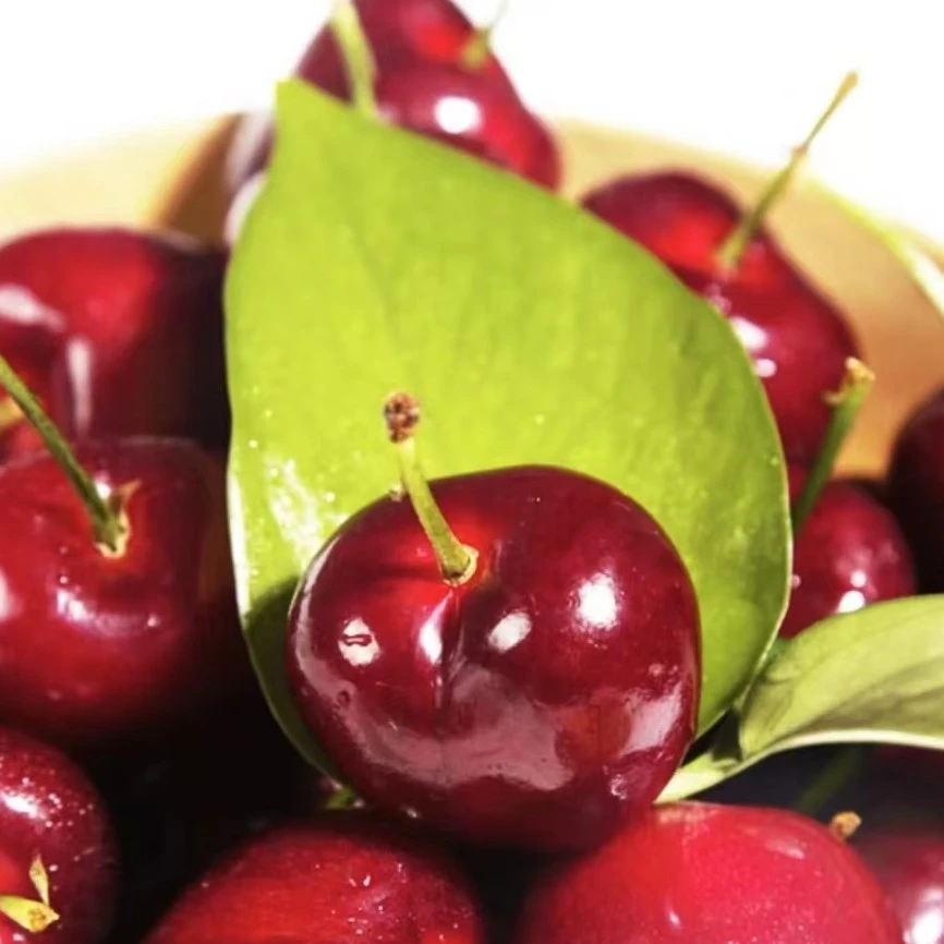 伽沃 2J/3J智利海运拉宾斯车厘子净重5斤 内附果径卡