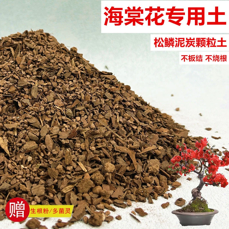 海棠花专用土花土赤玉土风化土盆栽盆景营养土酸性沙质土种植土