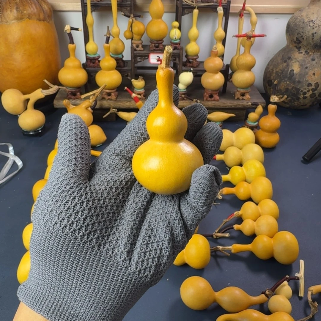 大***力直播间专项链接 请勿乱拍