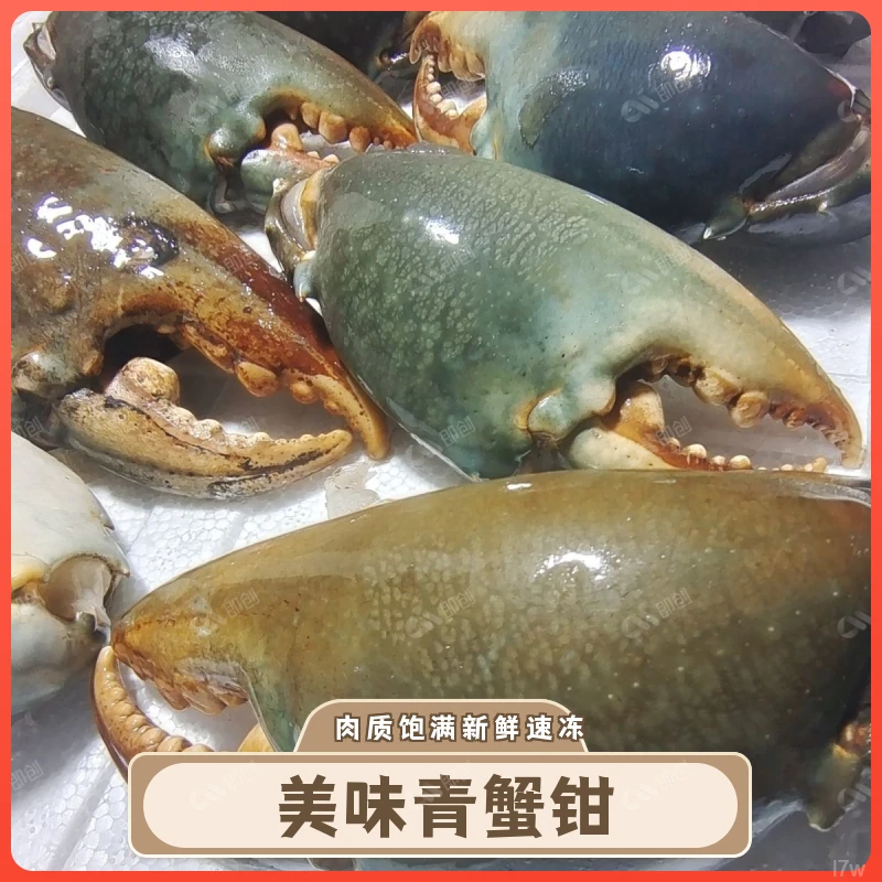 新鲜青蟹腿特大蟹钳鳌大肉多海鲜水产活蟹冷冻青蟹脚钳野生现掰钳