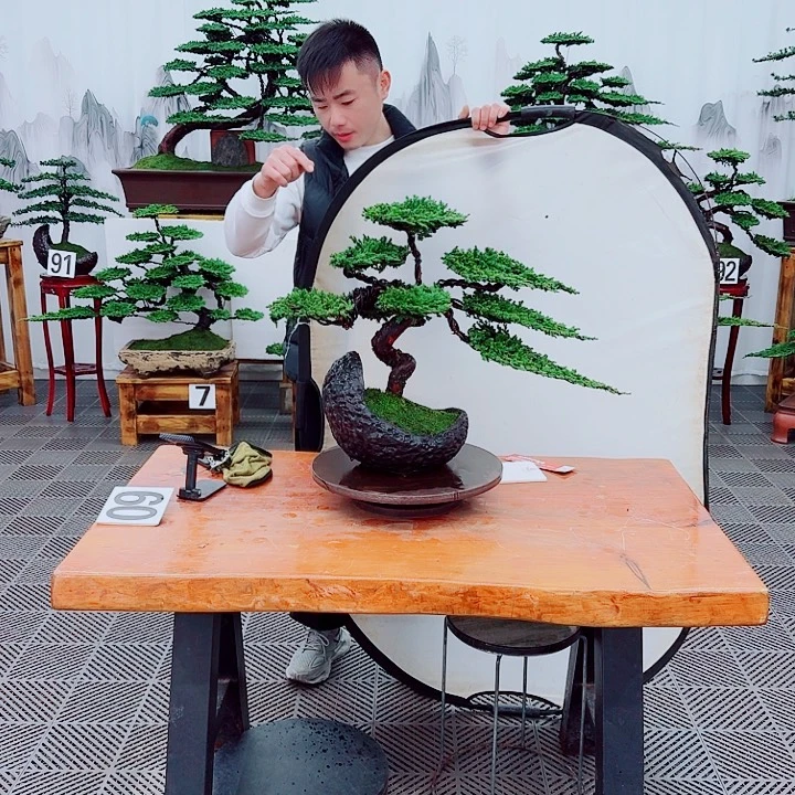 无花朵松柏盆景，一物一拍