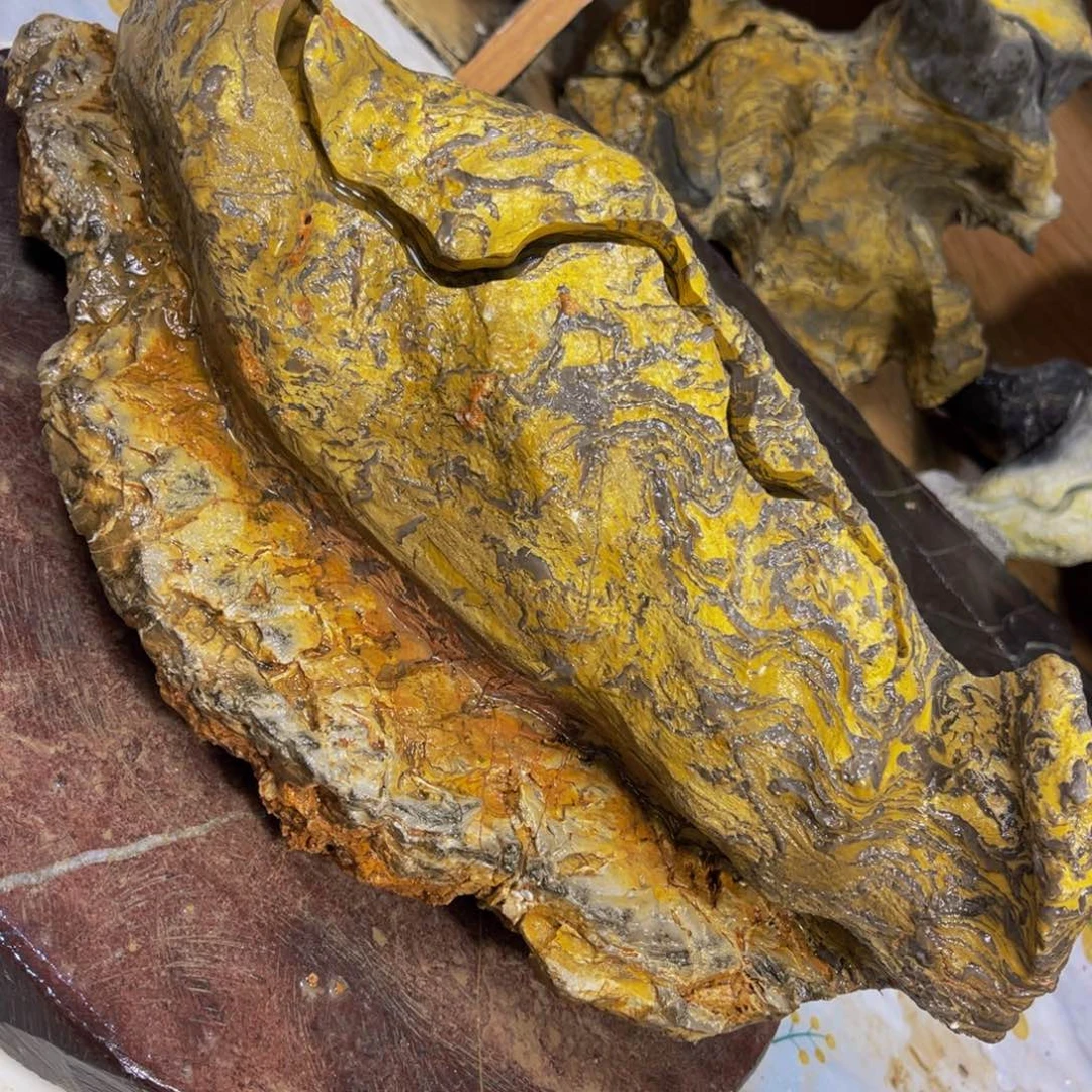 托***王附石盆景一物一拍