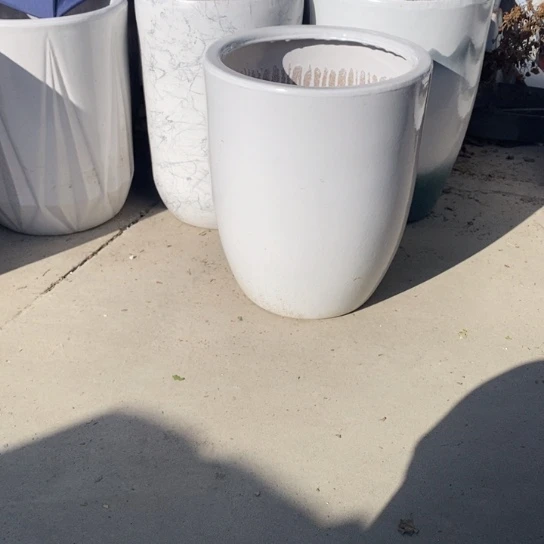 白锥中口26高32福利