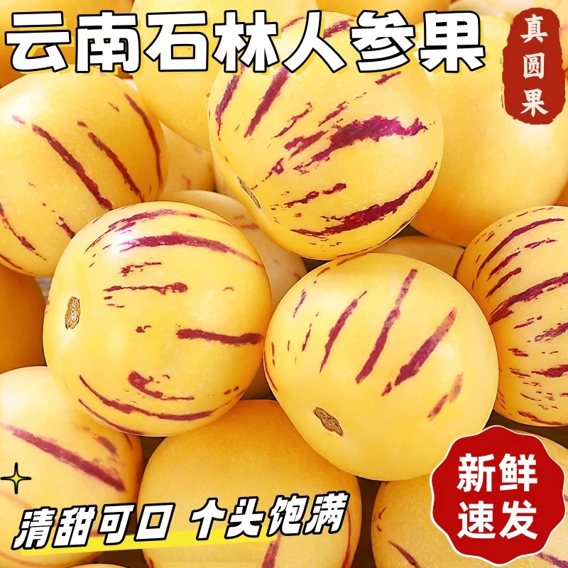 FS正宗云南石林人参果新鲜黄肉圆果整箱现摘现发