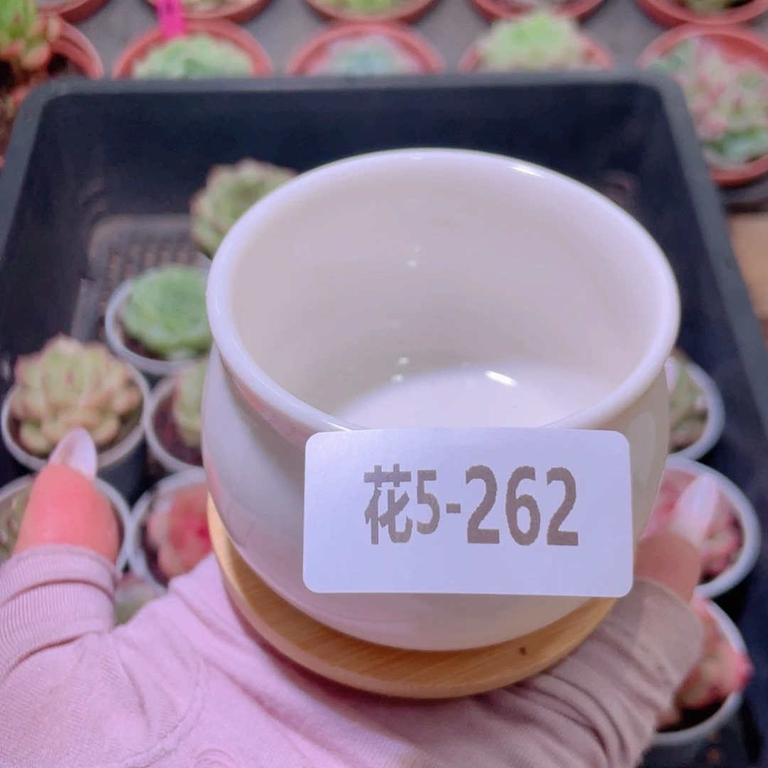 花利美5-262量拍  花盆圆1个