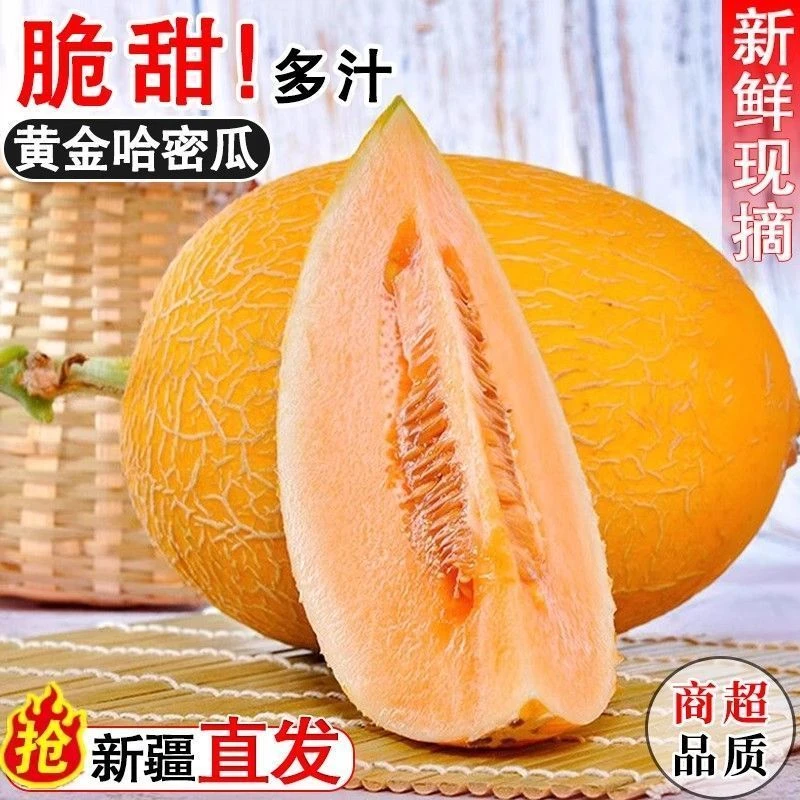 【顺丰/京东】 新疆直发 金色年华哈密瓜脆甜多汁新鲜蜜瓜坏果包赔