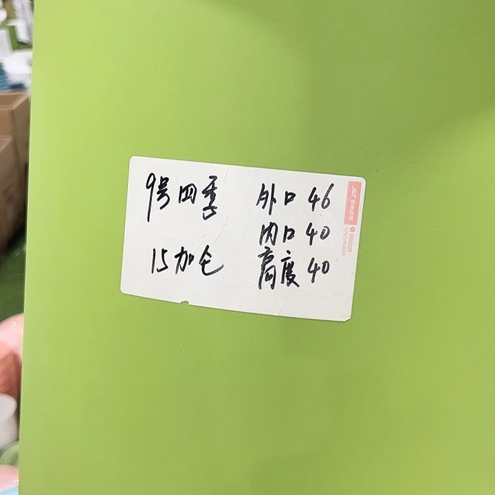 特价9号四季口46高40果绿4只无托