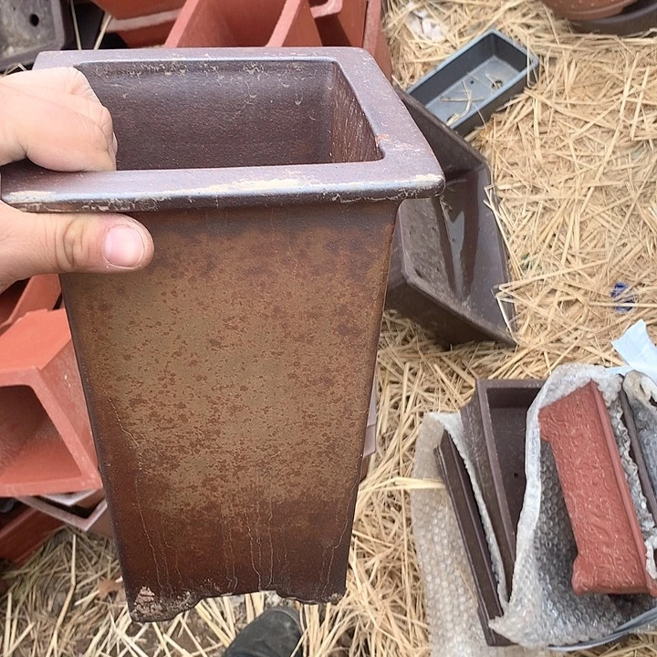 紫砂哈哈真的是太给力的样子