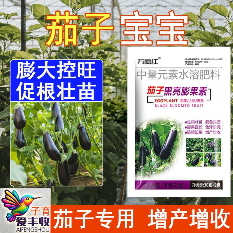 爱丰收【茄子宝宝】茄子种植嫩拉直拉长补钙镁膨壮茄子水溶叶面肥