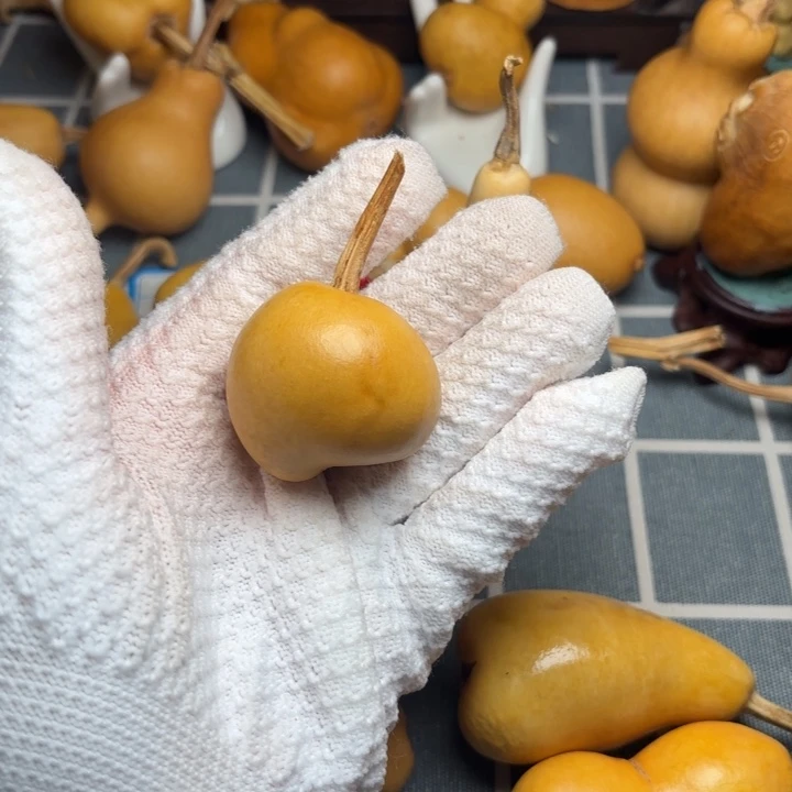 我***爸葫芦坑66666666666