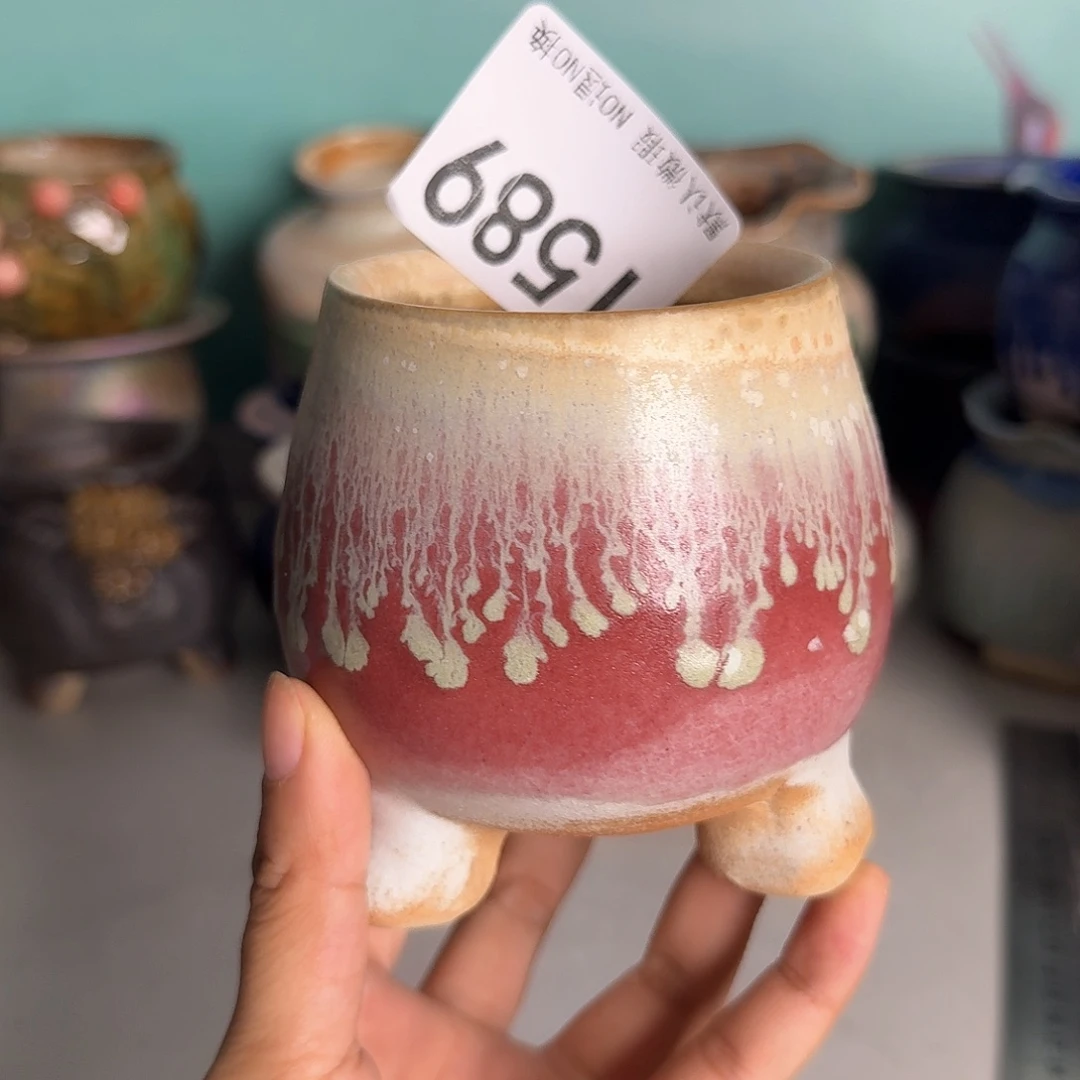 重庆小燕子欢迎大家589