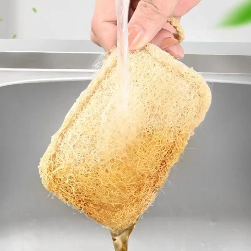 (6片)丝瓜络百洁布家用