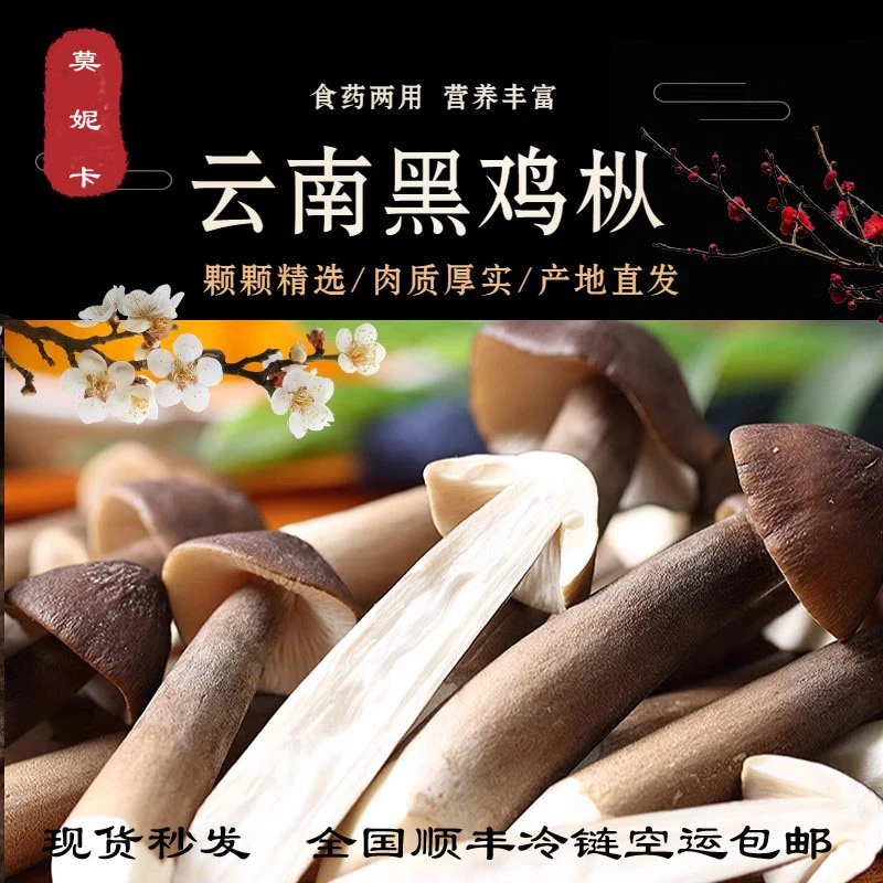云南自然黑皮鸡枞菌新鲜菌菇食用鸡枞菌荔枝菌500-1000g煲汤美味